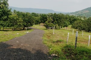  Plot For Sale in Shankarpalli