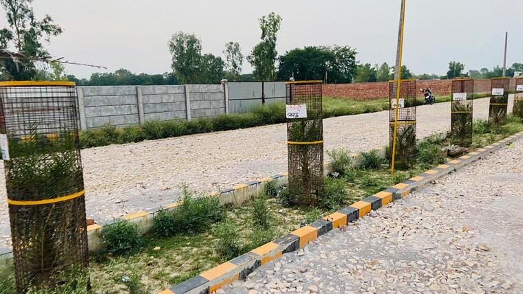 Garden, rohania  710 Sq.Ft. Plot In Rohania Varanasi 9682266