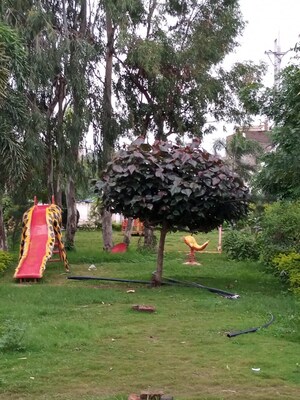  Plot – Garden View at Ab Bypass Road - for Sale