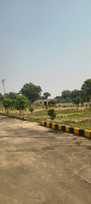 Plot Area in  Plot at Tappal – for Sale