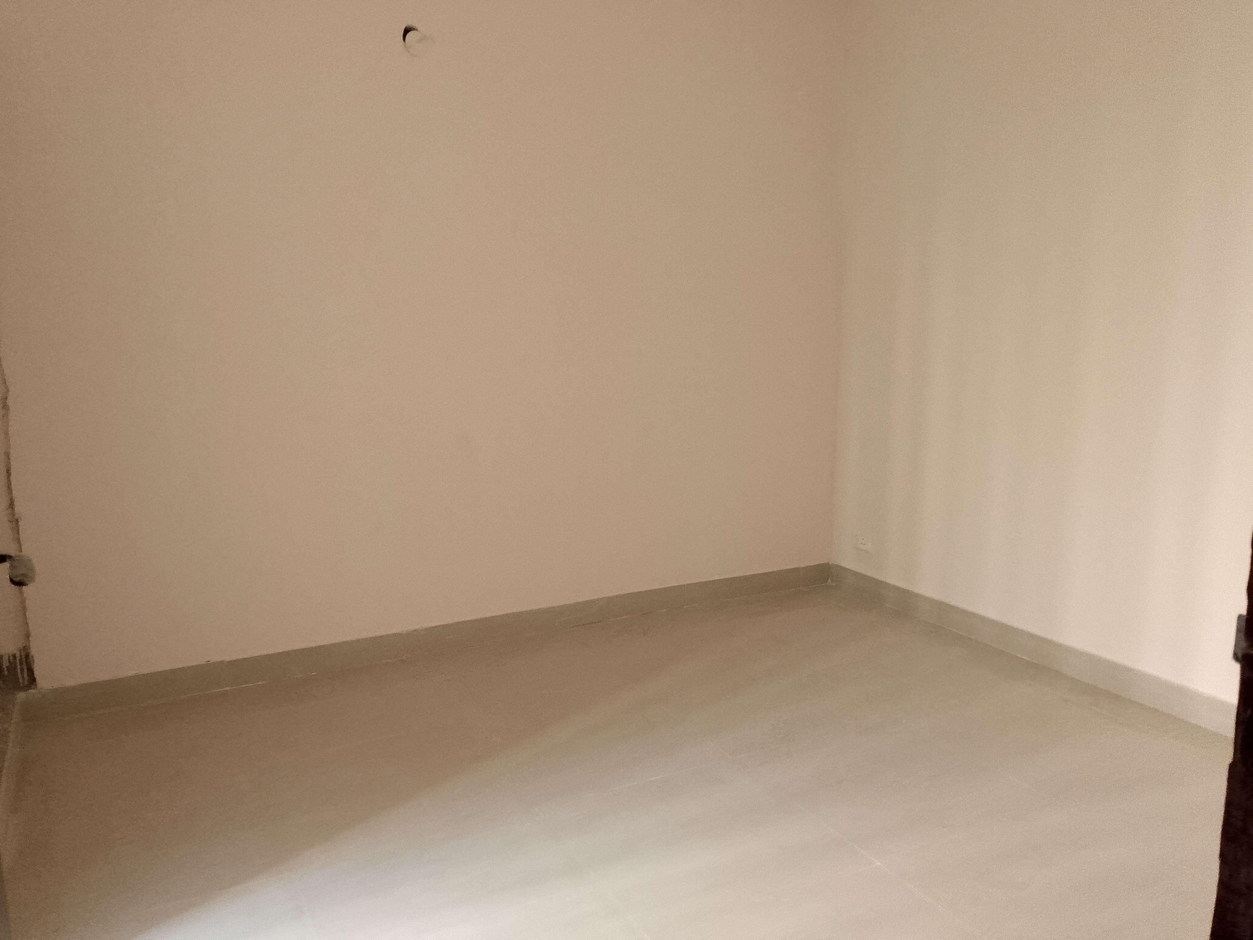 1 BHK + Extra Room Apartment For Rent in Amrapali Dream Valley