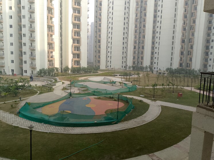 Swimming Pool, amrapali-dream-valley 1 Bedroom 585 Sq.Ft. Apartment In Tech Zone 4 Greater Noida Greater Noida 9682947
