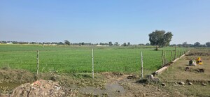 Plot Area in  Land at Jewar – for Sale