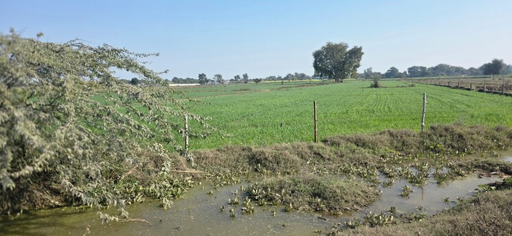 undefined, jewar Commercial Land 7254 Sq.Yd. In Jewar Greater Noida 9683068