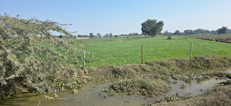 undefined, jewar Commercial Land 7254 Sq.Yd. In Jewar Greater Noida 9683068