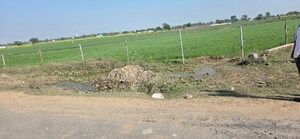 Plot Area in  Land at Jewar – for Sale
