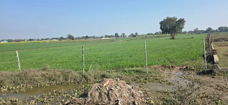 undefined, jewar Commercial Land 7254 Sq.Yd. In Jewar Greater Noida 9683068