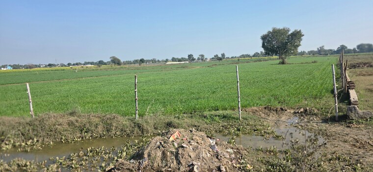 undefined, jewar Commercial Land 7254 Sq.Yd. In Jewar Greater Noida 9683068