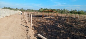 Plot Area in  Plot at Murbad Road – for Sale