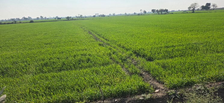 undefined, jewar Commercial Land 2520 Sq.Yd. In Jewar Greater Noida 9683546