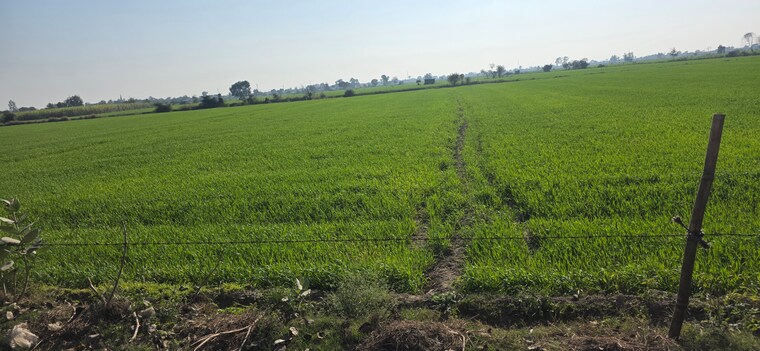 undefined, jewar Commercial Land 2520 Sq.Yd. In Jewar Greater Noida 9683546