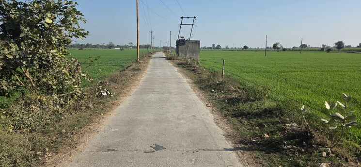 undefined, jewar Commercial Land 2520 Sq.Yd. In Jewar Greater Noida 9683546