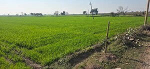 Plot Area in  Land at Jewar – for Sale