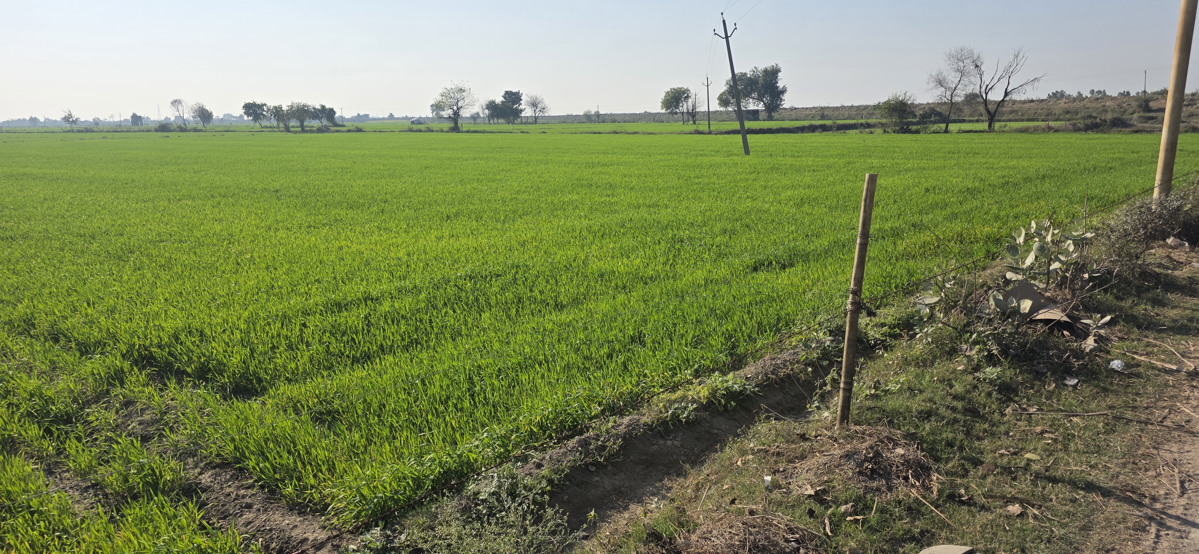 undefined, jewar Commercial Land 2520 Sq.Yd. In Jewar Greater Noida 9683546