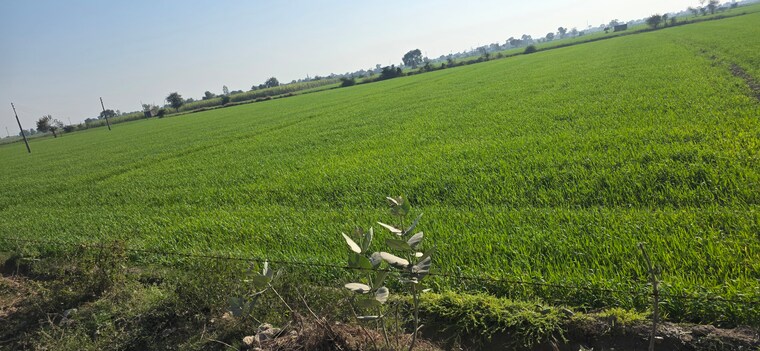 undefined, jewar Commercial Land 2520 Sq.Yd. In Jewar Greater Noida 9683546