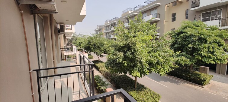 Cover Image, south city 1 3 Bedroom 240 Sq.Ft. Builder Floor In South City 1 Gurgaon 9683845