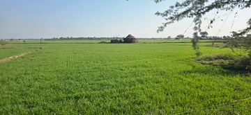  Land For Sale in Jewar