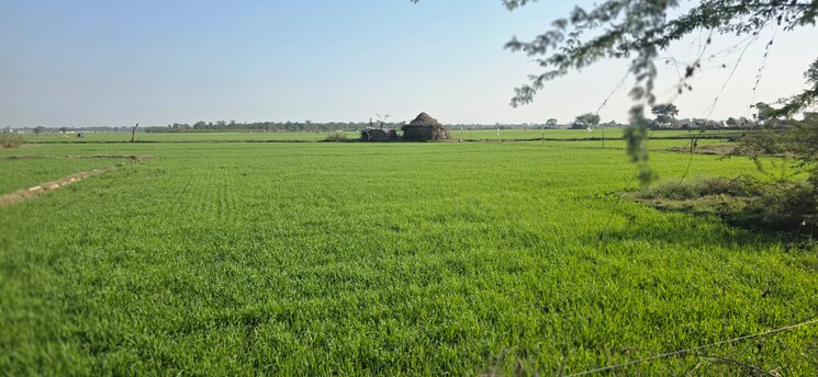 Cover Image, jewar Commercial Land 7056 Sq.Yd. In Jewar Greater Noida 9683861