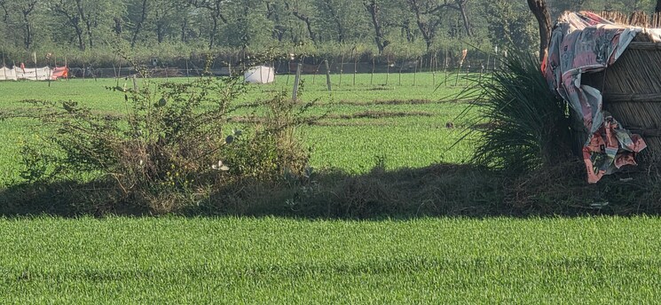 undefined, jewar Commercial Land 7056 Sq.Yd. In Jewar Greater Noida 9683861