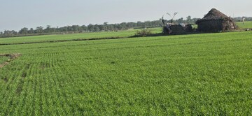  Land – Garden View at Jewar - for Sale