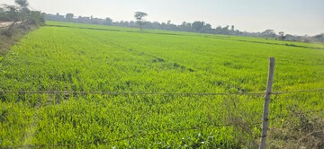 Plot Area in  Land at Jewar – for Sale