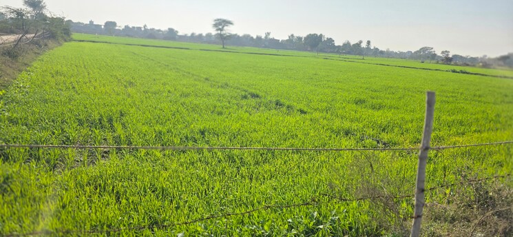 undefined, jewar Commercial Land 2016 Sq.Yd. In Jewar Greater Noida 9684147