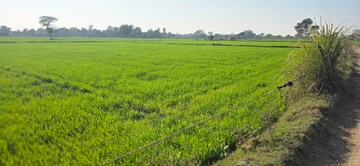 Plot Area in  Land at Jewar – for Sale