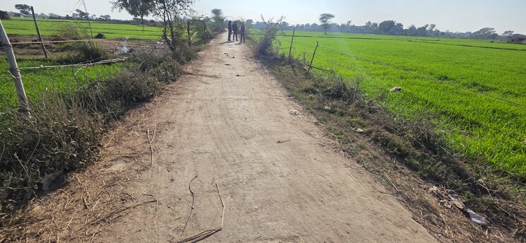 undefined, jewar Commercial Land 2016 Sq.Yd. In Jewar Greater Noida 9684147