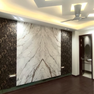 6+ BHK Independent House For Sale in Sector 40