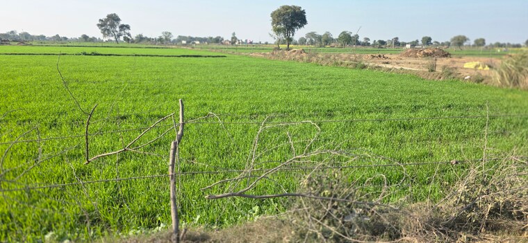 undefined, jewar Commercial Land 2016 Sq.Yd. In Jewar Greater Noida 9684147