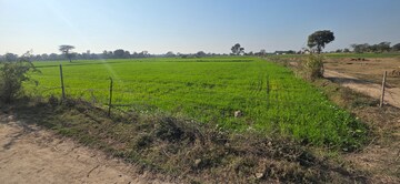 Plot Area in  Land at Jewar – for Sale