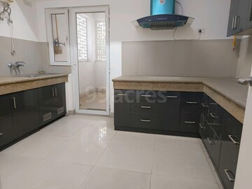 Kitchen in 4 BHK Apartment at Emaar The Enclave, Sector 66 – for Rent