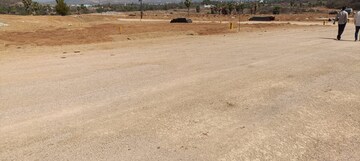 Plot Area in  Plot at Mazidpur – for Sale