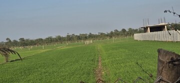  Land For Sale in Jewar