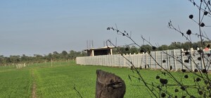 Plot Area in  Land at Jewar – for Sale