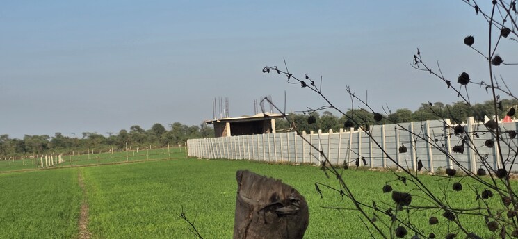 undefined, jewar Commercial Land 3627 Sq.Yd. In Jewar Greater Noida 9684412