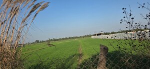 Plot Area in  Land at Jewar – for Sale