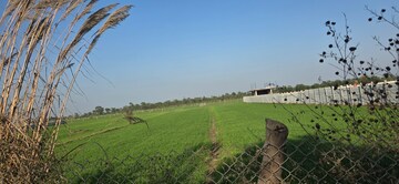 Plot Area in  Land at Jewar – for Sale