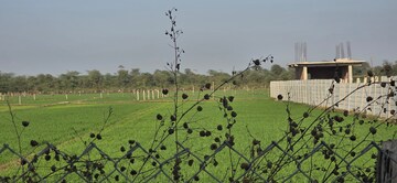 Plot Area in  Land at Jewar – for Sale