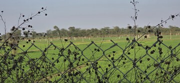  Land – Map Location View at Jewar - for Sale