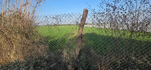  Land – Garden View at Jewar - for Sale