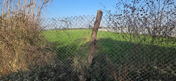 Land for Sale in Jewar, Greater Noida