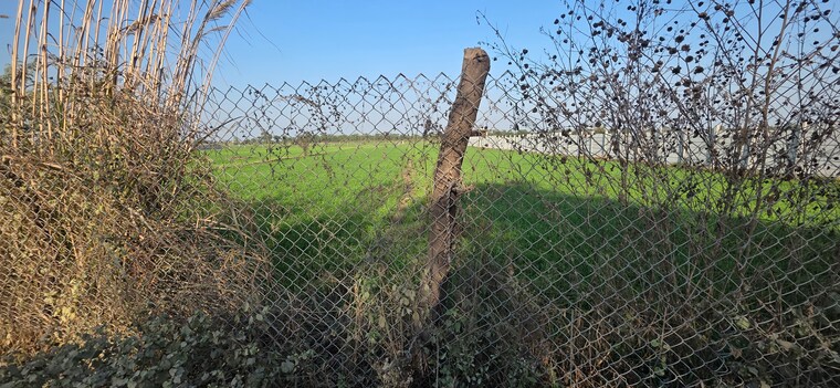 Garden, jewar Commercial Land 3627 Sq.Yd. In Jewar Greater Noida 9684412