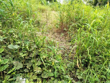 Plot Area in  Plot at Bavdhan – for Sale