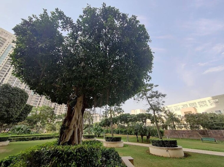 Entrance, dlf-park-place 3 Bedroom 2204 Sq.Ft. Apartment In Sector 54 Gurgaon 9684561