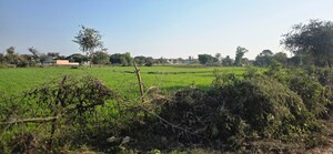 Plot Area in  Land at Jewar – for Sale
