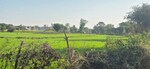 10584 Sq.Yd. Land in Jewar