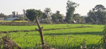 Plot Area in  Land at Jewar – for Sale