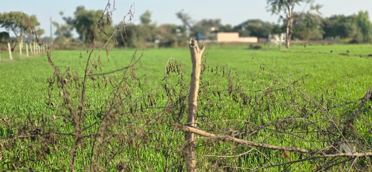 Map Location, jewar Commercial Land 10584 Sq.Yd. In Jewar Greater Noida 9684955