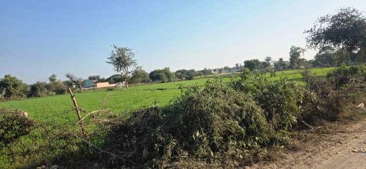 undefined, jewar Commercial Land 10584 Sq.Yd. In Jewar Greater Noida 9684955